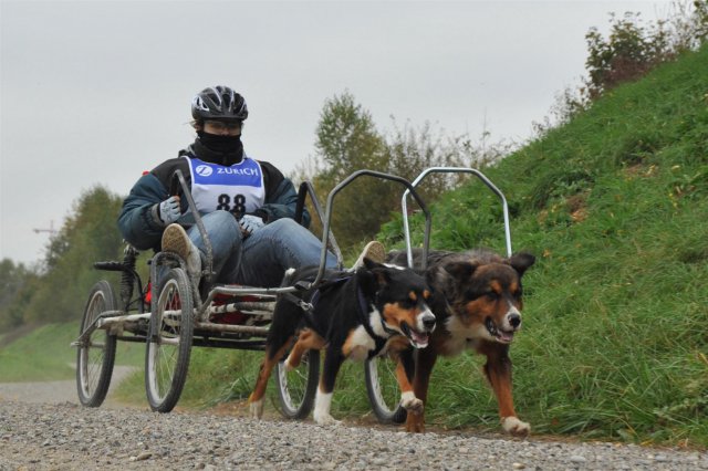 Rennen Weinfelden